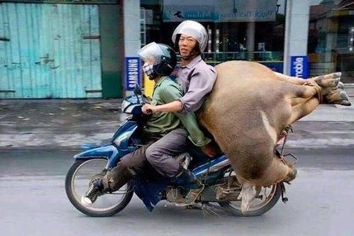 吃瓜自家摩托被踢视频,一场意外引发的吃瓜热议