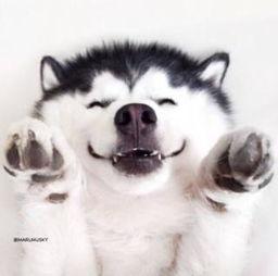 吃瓜群众免费吃瓜直播视频,揭秘网红幕后生活