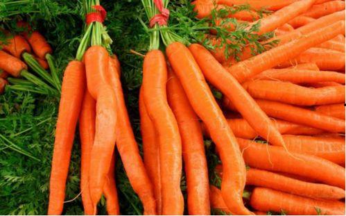 大瓜头吃胡萝卜视频大全,萌宠美食瞬间大盘点